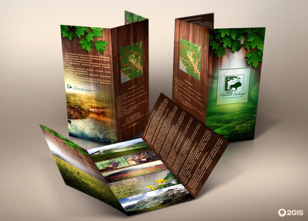 30258560061732605_11e7